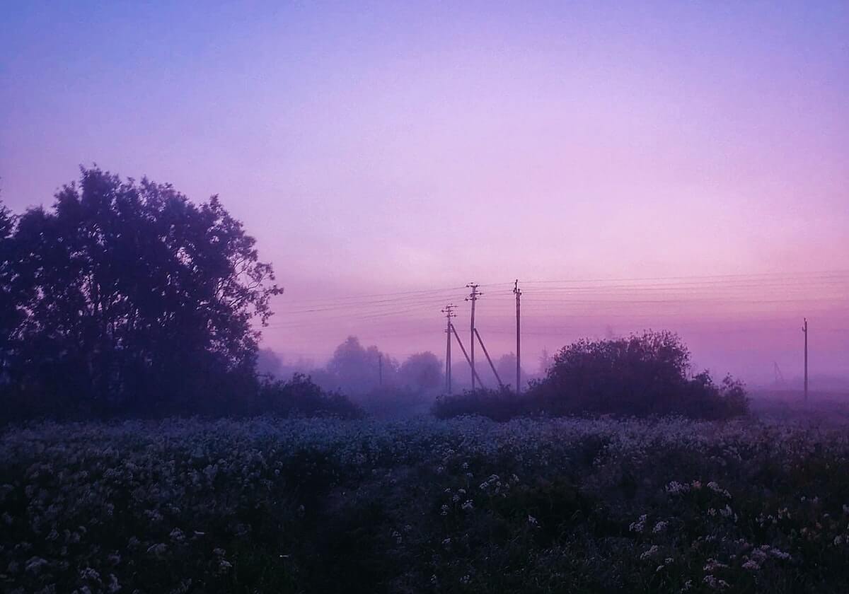 世界杯官方正版-【直播】时间：JDG除了无畏之外，其他人真没有对抗的，包括中野